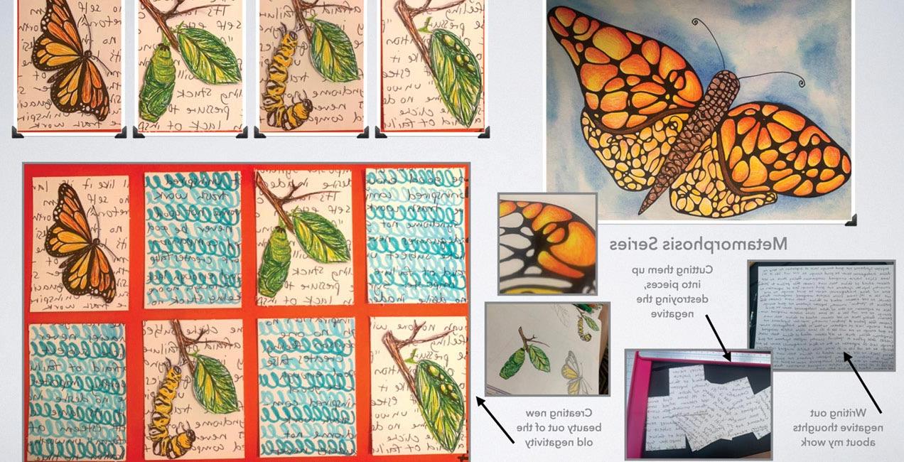 蝴蝶在艺术教育中的应用